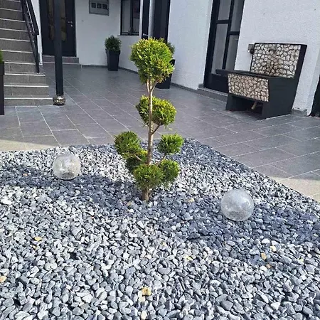 Bosna فيسوكو